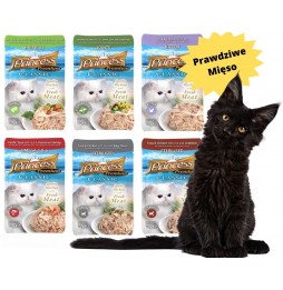 Princess Premium Omega 3&6 70g wet cat food sachet