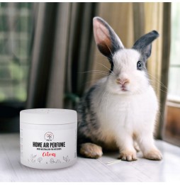 Pets Home Air Perfume 170g - Citrus Odor absorber